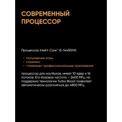 Ноутбук TUF F16 FX608JMR-RV170